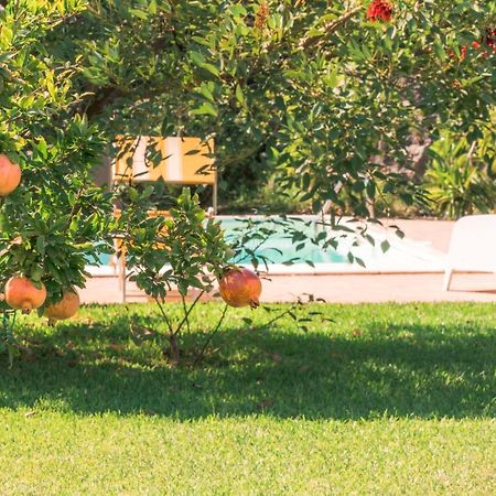Villa Dei Limoni Etna-Mare Ачиреале Экстерьер фото