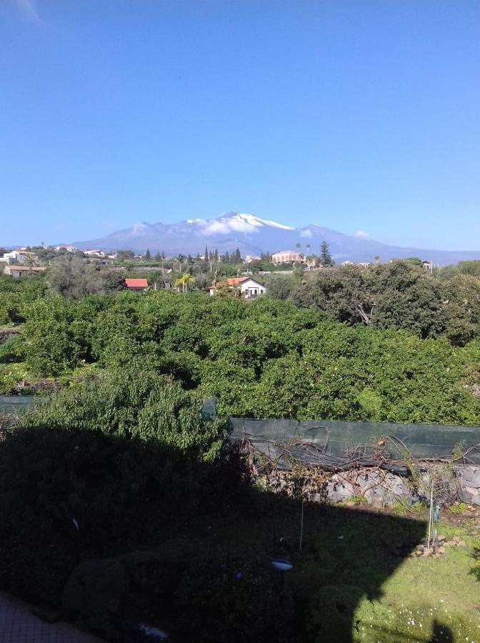 Villa Dei Limoni Etna-Mare Ачиреале Экстерьер фото